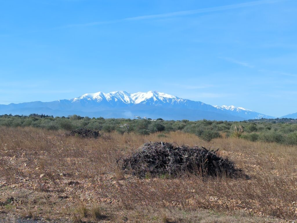 img 20260222 110021 223