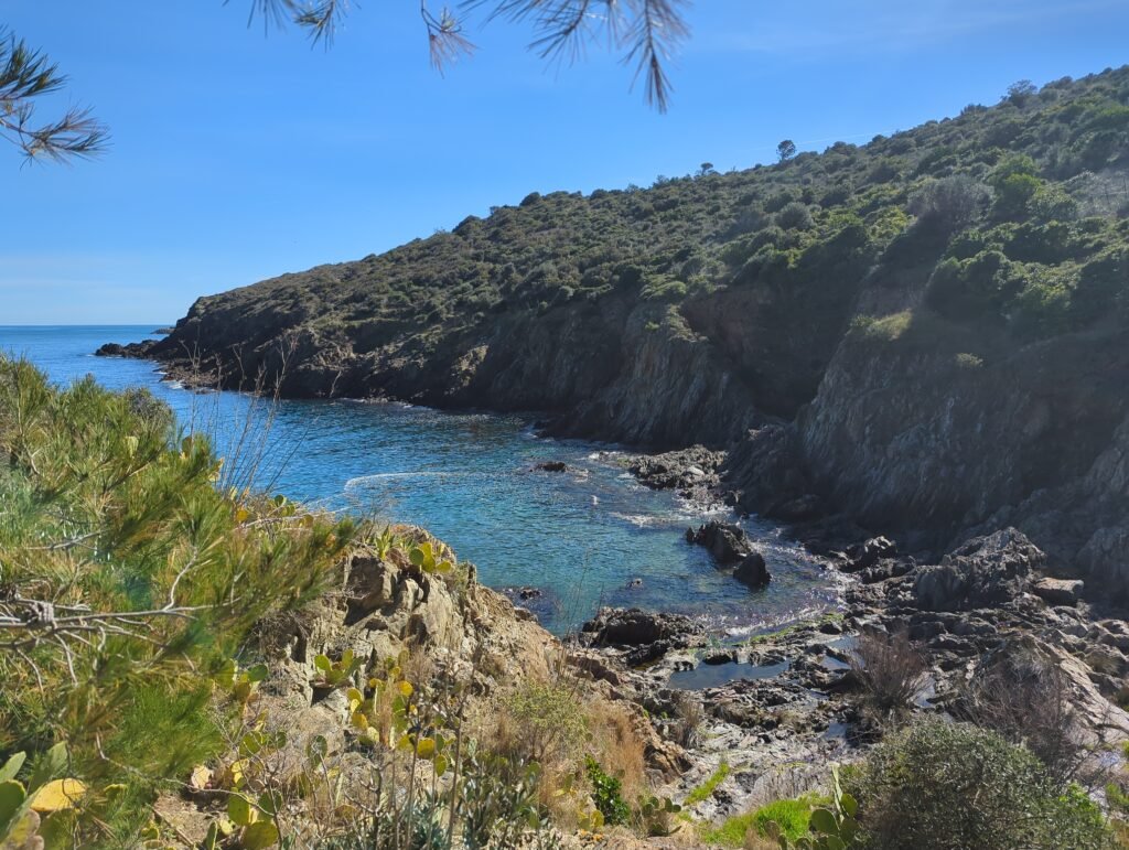 img 20260222 120108 563