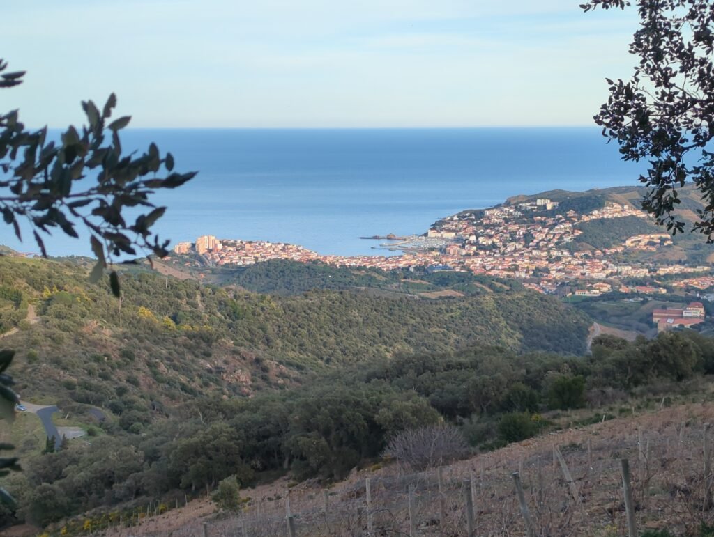 img 20260222 172440 071