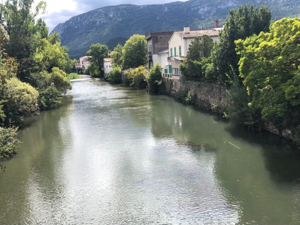 befunky 2025 8 4 12 34 19